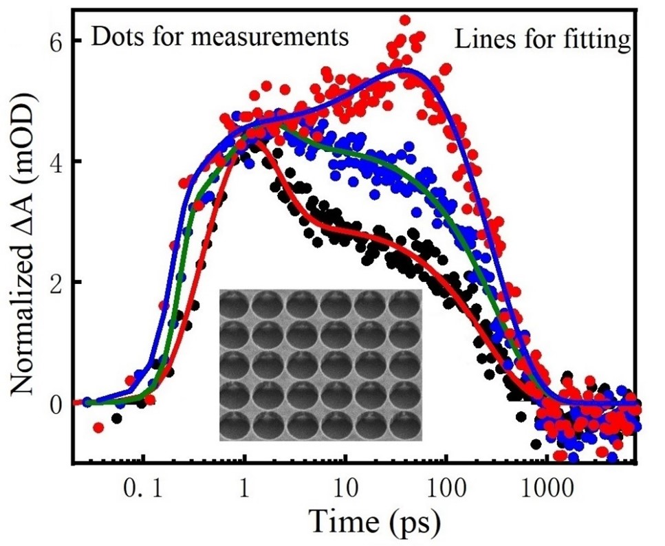 1655480718803007.jpg 1655480718803007.jpg